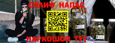 СК Гатчина