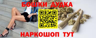 СК Гатчина