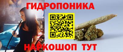 СК Гатчина