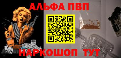 СК Гатчина