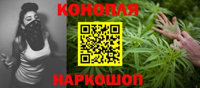 СК Гатчина