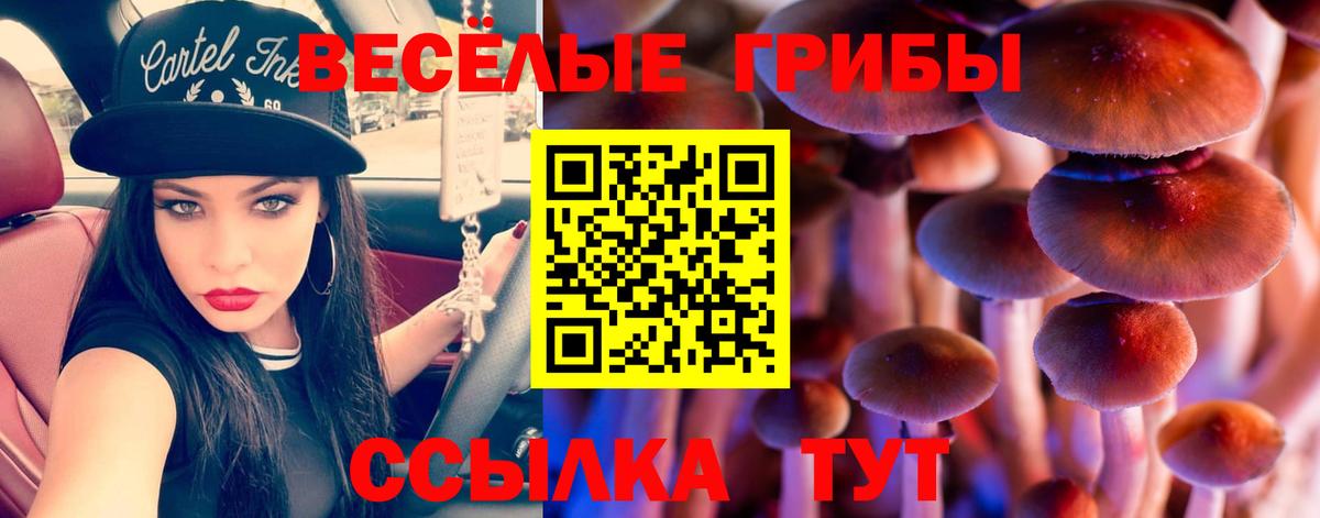 Галлюциногенные грибы прущие грибы  Вход с VPN  Тара 